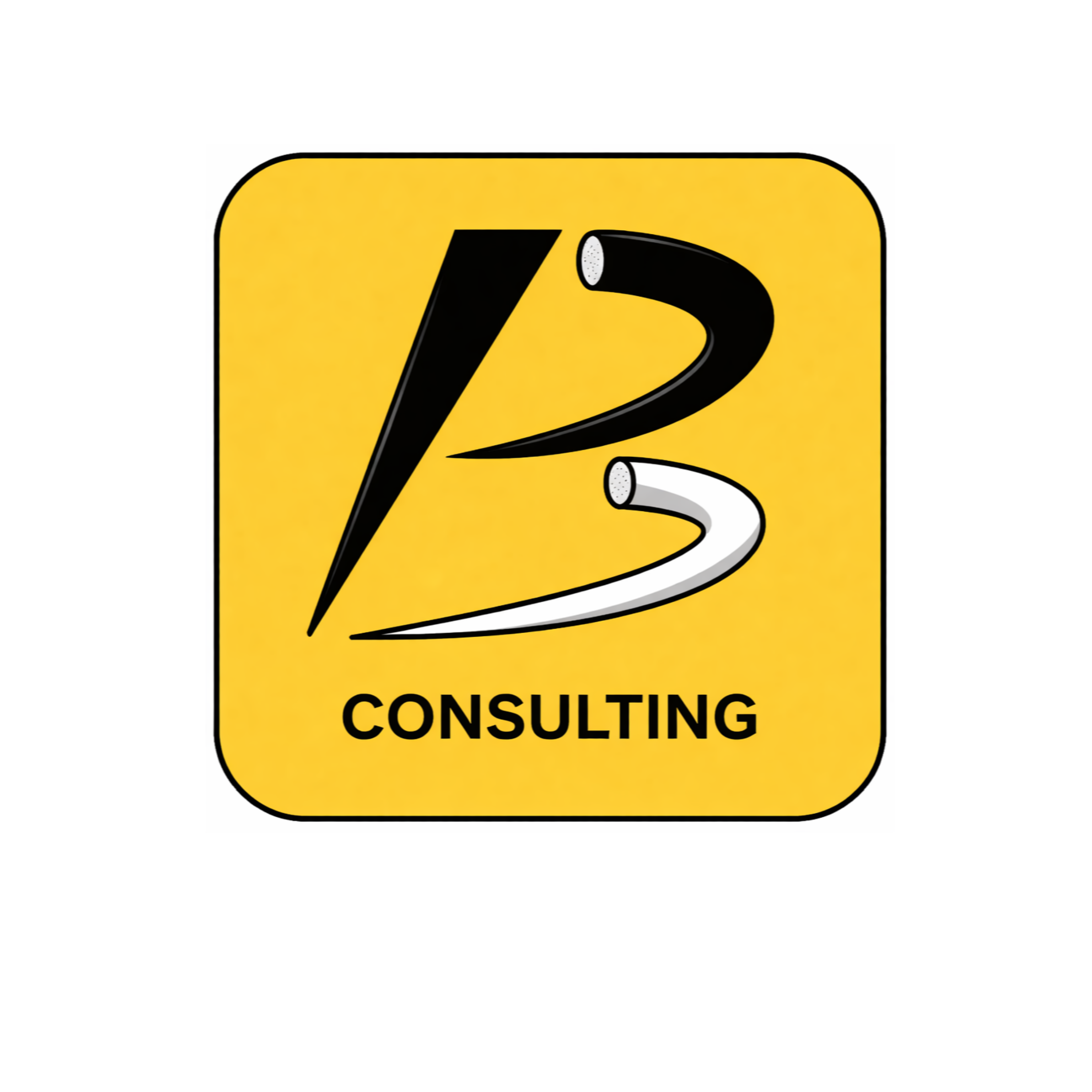 Logo PB High Quality - Pedro Valladao_edited_edited_edited_edited_edited